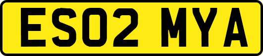 ES02MYA