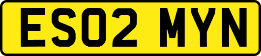 ES02MYN