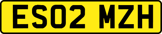 ES02MZH