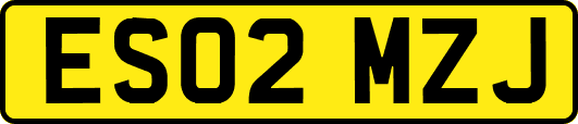 ES02MZJ