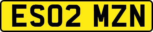 ES02MZN