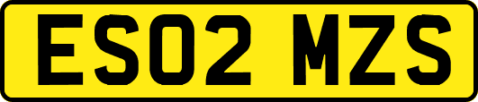 ES02MZS