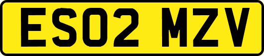 ES02MZV