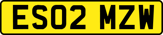 ES02MZW