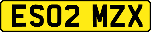 ES02MZX