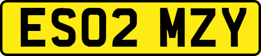 ES02MZY