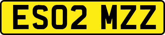 ES02MZZ