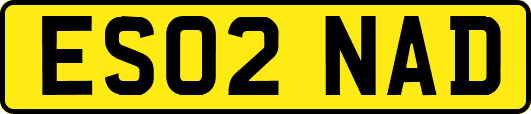 ES02NAD