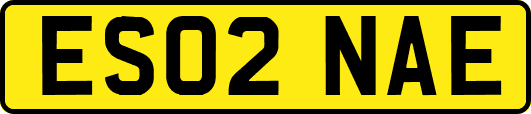 ES02NAE