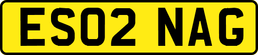 ES02NAG