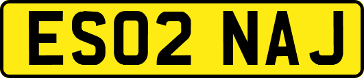 ES02NAJ
