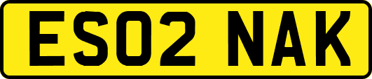 ES02NAK