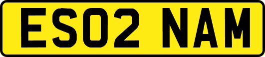 ES02NAM