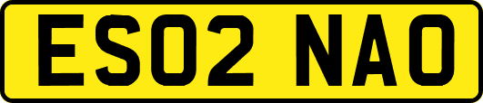 ES02NAO