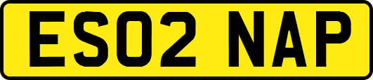 ES02NAP