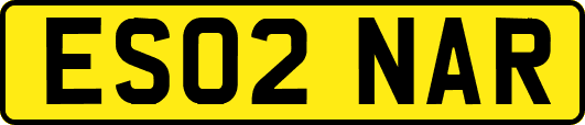 ES02NAR