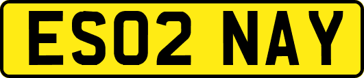 ES02NAY