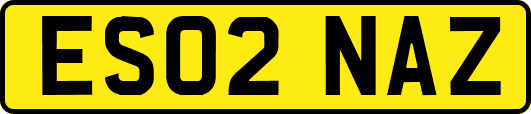 ES02NAZ
