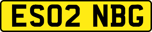 ES02NBG