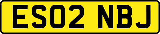 ES02NBJ