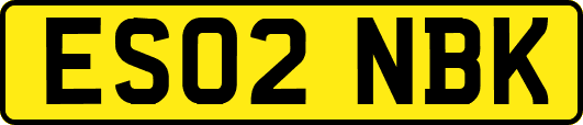 ES02NBK