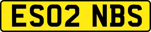 ES02NBS