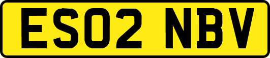 ES02NBV