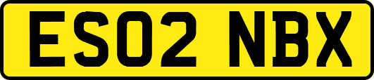 ES02NBX