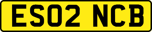 ES02NCB