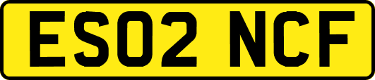 ES02NCF