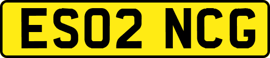 ES02NCG