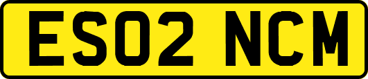 ES02NCM