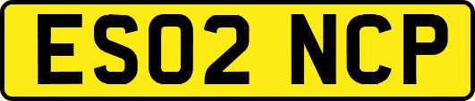 ES02NCP