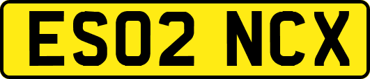 ES02NCX