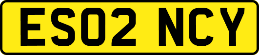 ES02NCY