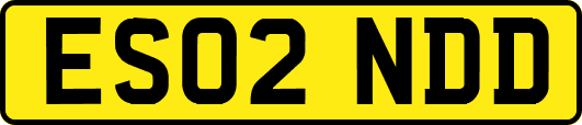 ES02NDD