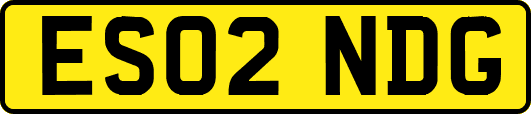 ES02NDG