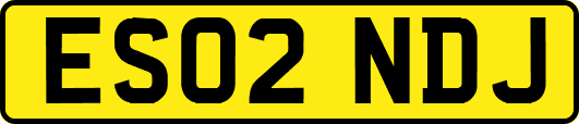 ES02NDJ