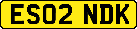 ES02NDK