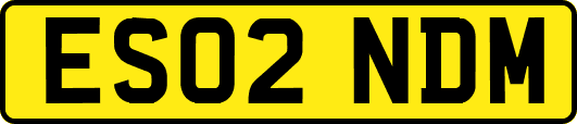 ES02NDM