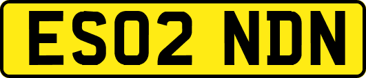 ES02NDN
