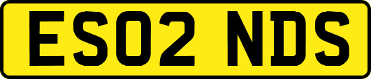 ES02NDS