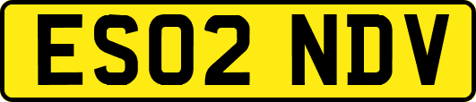 ES02NDV