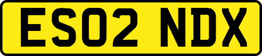 ES02NDX