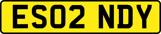 ES02NDY