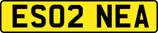 ES02NEA