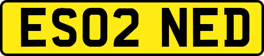 ES02NED