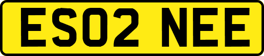 ES02NEE