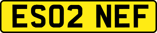 ES02NEF