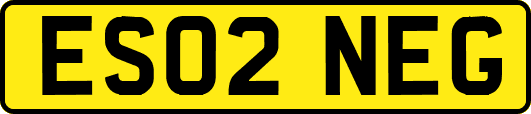 ES02NEG